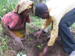Tree planting (website)&nbsp;May